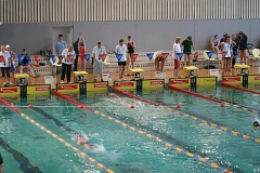 schwimmen 1